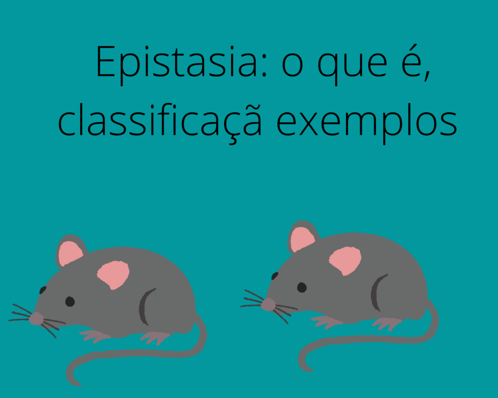 pistasia a interação entre pares de genes na determinação do fenótipo