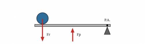 O esquema a seguir representa uma barra homogênea (cada pedaço dela tem as mesmas propriedades) se a força resistente tem o peso equivalente a 20 kg e a força potente está sendo aplicada bem no meio da barra, qual é o valor da força potente em kg ?