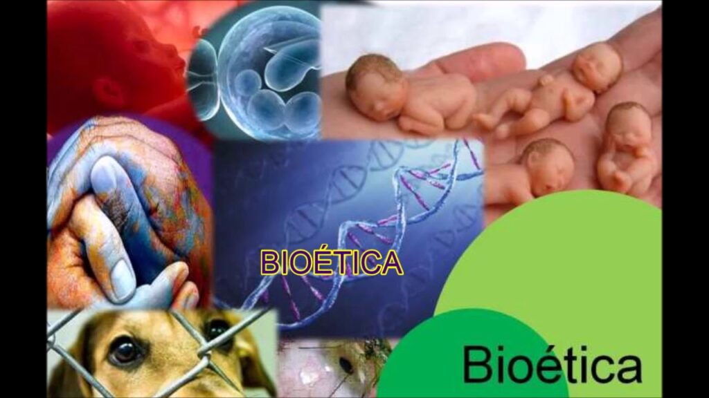 
A bioética é definida como o estudo transdisciplinar das ciências biológicas, ciências da saúde, ética e do direito, tendo como finalidade investigar todas as situações que estão relacionadas com a vida humana, animal ou vegetal.