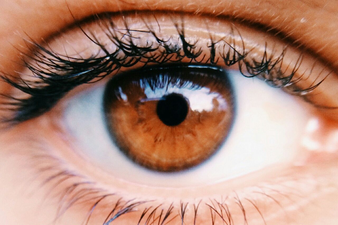 O que são olhos tenros Qual o significado da palavra olhos tenros