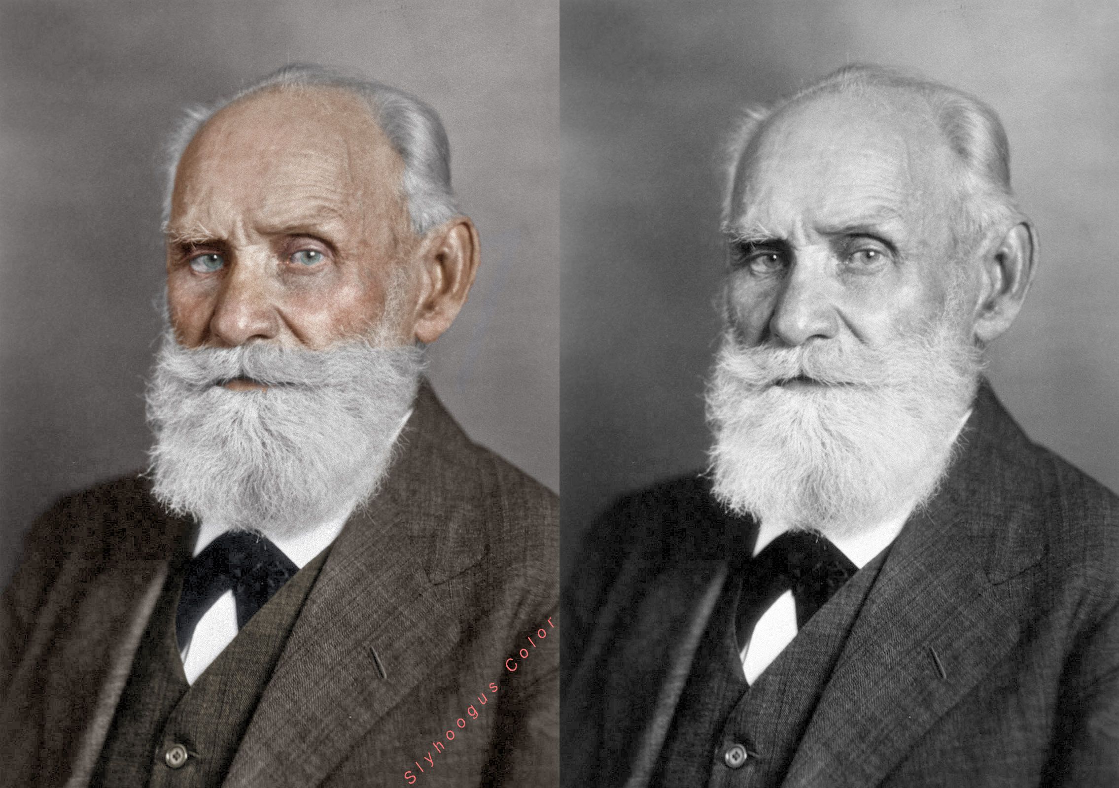 No final dos anos 1800 e no início dos anos 1900, o cientista russo Ivan Pavlov 