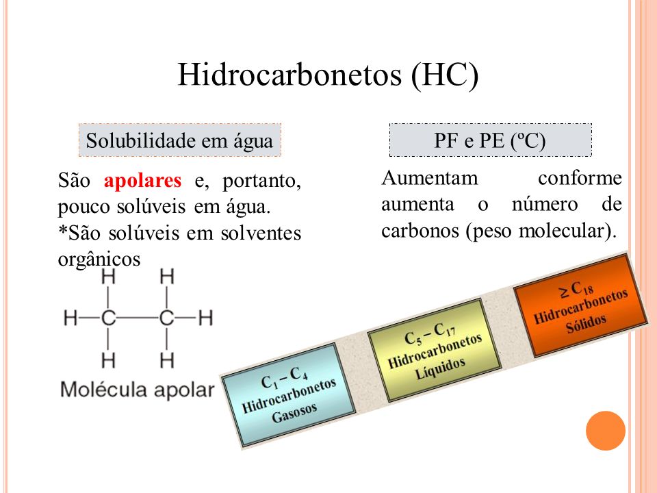 Hidrocarbonetos: Os Compostos Orgânicos Fundamentais