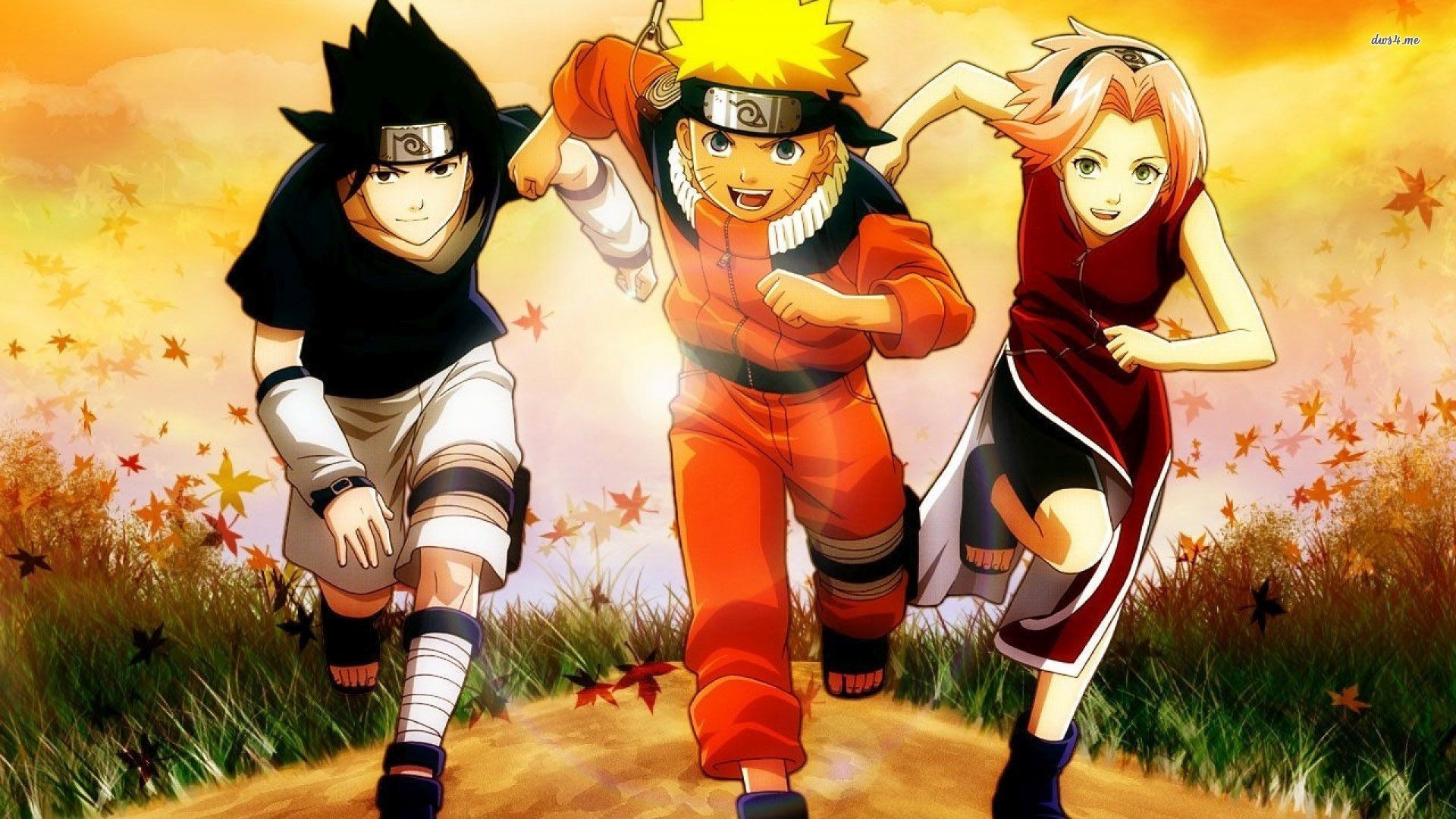Naruto Clássico: Novos Episódios após 16 