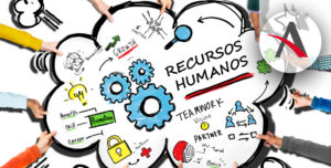 O setor de Recursos Humanos de uma empresa selecionou 55 funcionários 