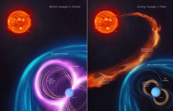 O primeiro painel deste conceito artístico mostra como a magnetosfera de Urano se comportava antes do sobrevôo da Voyager 2 da NASA; o segundo painel mostra que um tipo incomum de clima solar estava acontecendo durante o sobrevôo de 1986, dando aos cientistas uma visão distorcida da magnetosfera. Crédito da imagem: NASA/JPL-Caltech.